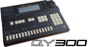 QY300
