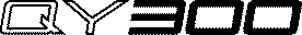 QY300